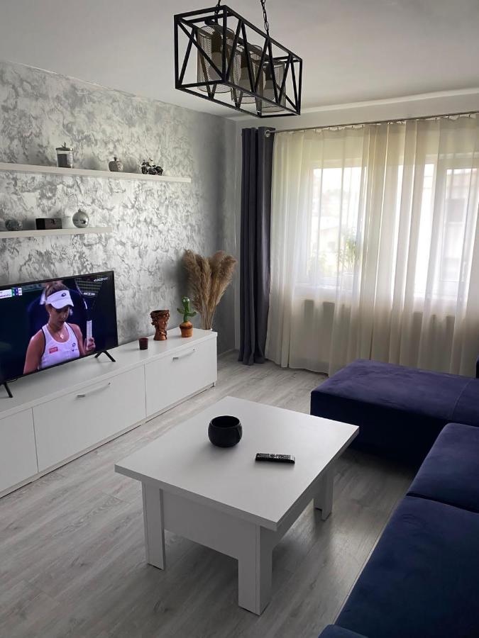 Alesandru Apartament Пітешть Екстер'єр фото