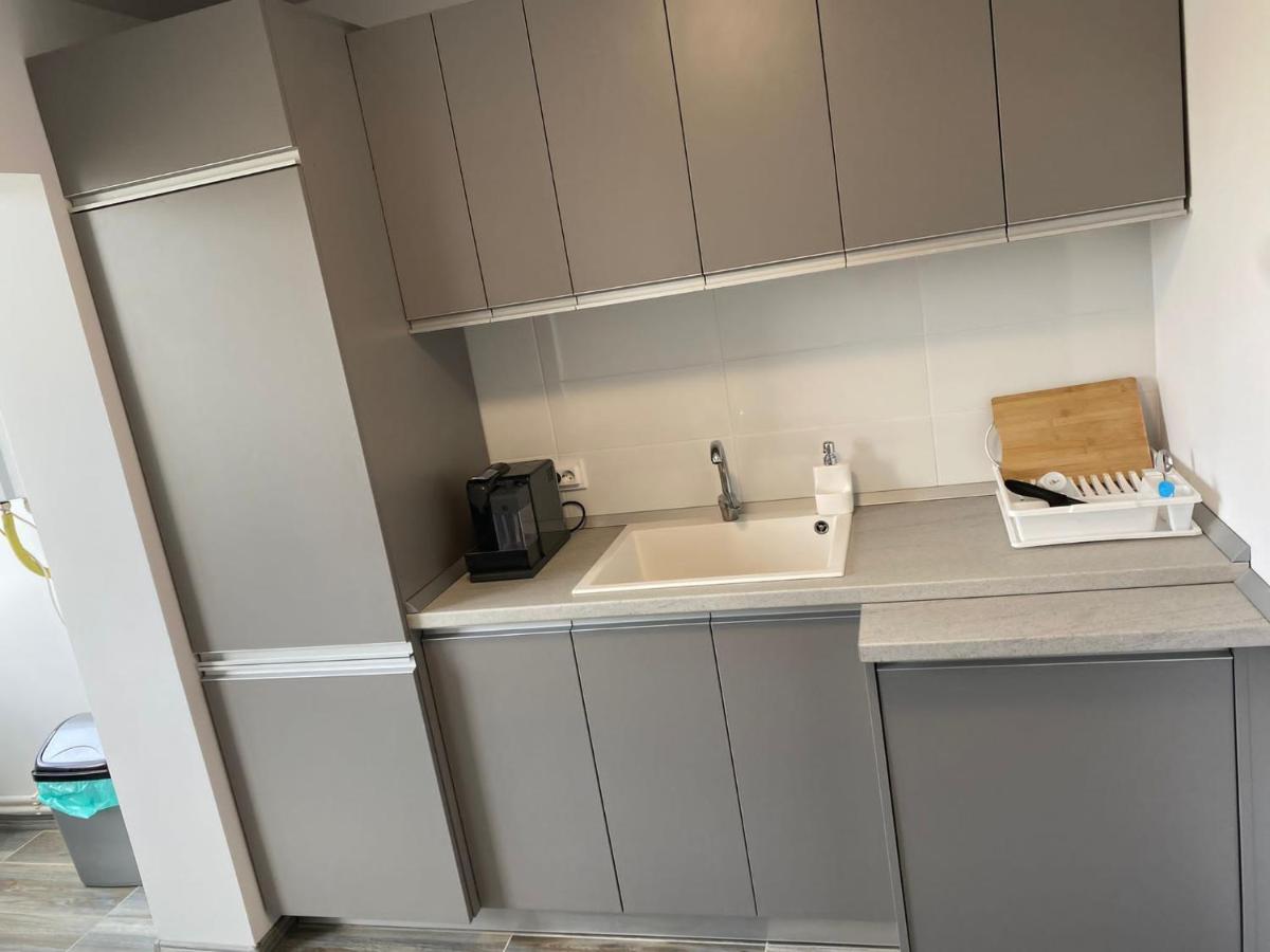Alesandru Apartament Пітешть Екстер'єр фото